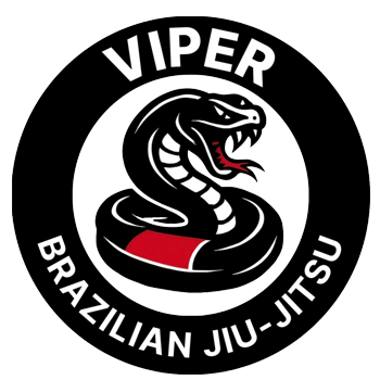  Viper Brazilian Jiu-Jitsu 