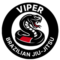  Viper Brazilian Jiu-Jitsu  Logo